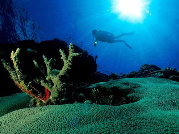 Imágenes demuestran la destrucción del relieve marino por pesca de arrastre