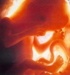 Al sancionar el Protocolo de ¨abortos no punibles¨, Macri se sumó a la ¨cultura de la muerte¨