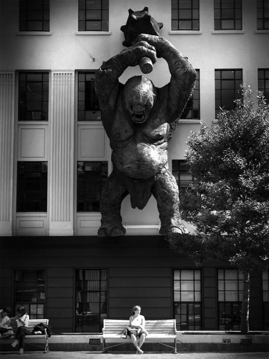 Las fotografías espotáneas son las mejores (10 Fotos)