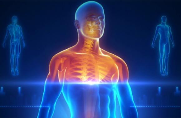 El estrés y cómo evitarlo