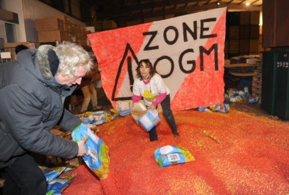 Estudio revela efectos venenosos del maíz transgénico consumido a largo plazo