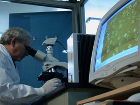 Cientificos Argentinos del Conicet elaboran índice de envejecimiento