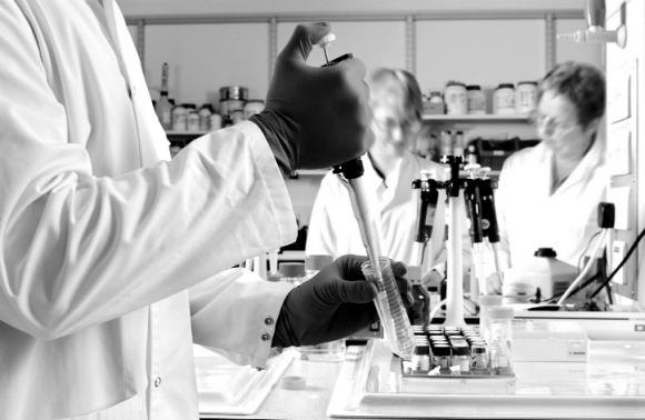 Avance Argentino en la lucha contra la fiebre amarilla