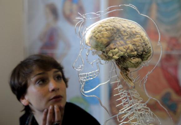 Aunque los ojos ven el cerebro puede quedar ciego, advierten científicos