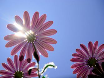 Cómo nutrir un pensamiento optimista