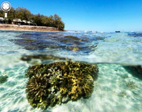 La Gran Barrera de Coral Australiana pierde la mitad de sus corales