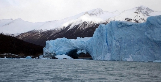 Investigadores Argentinos descubren nuevas especies de levaduras en glaciares patagónicos‏