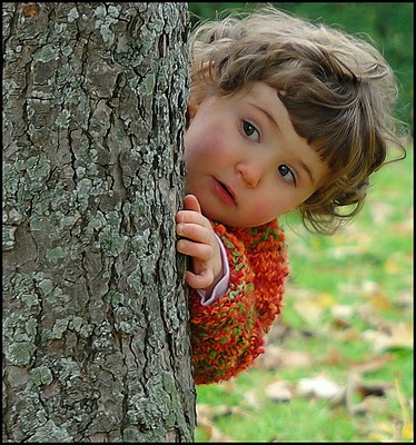 Las maravillas de la vida 