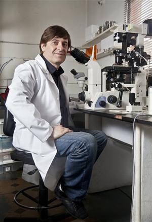 Investigador Argentino de la UBA desarrolló en el país una técnica novedosa a nivel mundial para salvar especies mediante la clonación‏