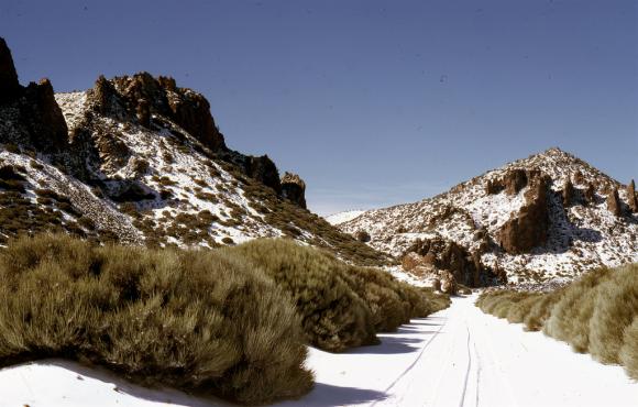 Descubren origen de las masivas erupciones volcánicas terrestres en Tenerife
