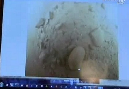 Analizan misterioso objeto del Mar Báltico