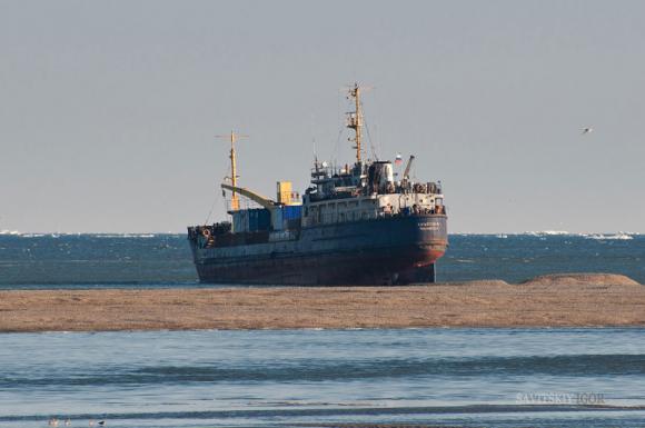 Se pierde buque ruso con 700 toneladas de mineral de oro