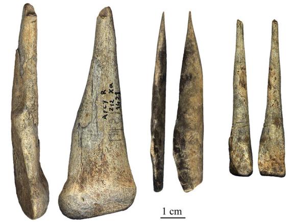 Humanos modernos difundieron su cultura a los Neandertales, sostienen antropólogos