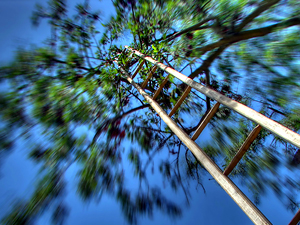 ¿Miedo a las alturas? Las hormonas del estrés lo combaten