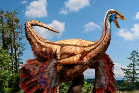 El dinosaurio que usaba las plumas como un pavo real