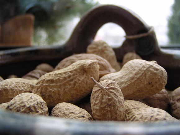 Revelan propiedades antioxidantes en la cáscara de maní