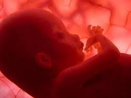 Fallo sobre el aborto “no punible” en la Ciudad de Buenos Aires:  Pedimos respeto a la vida, primer derecho humano universal