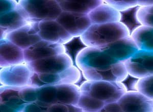 Reprogramaran celulas madre en Argentina