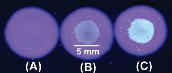 Científicos Argentinos desarrollan sensores luminiscentes para monitorear la contaminación