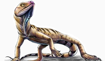 Investigadores Argentinos descubrieron un pequeño reptil del Jurásico