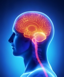 Médicos distinguen diferencias en el cerebro entre las creencias extrañas y los delirios psicóticos