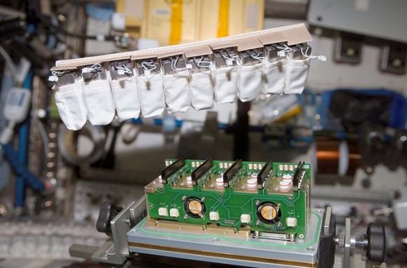 Astronautas aprenden a cultivar sus propias verduras a bordo de la Estación Espacial Internacional