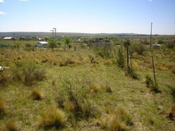 Por ley, si un terreno está vacío durante cinco años podrá ser expropiado