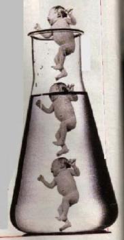 La clonación:¿estar en contra o a favor?