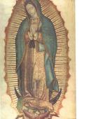 DISCURSO DEL SANTO PADRE BENEDICTO XVI  A LOS PARTICIPANTES EN EL CONGRESO INTERNACIONAL 