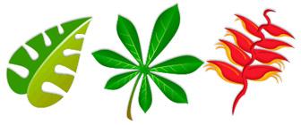 Recursos vectoriales gratuitos