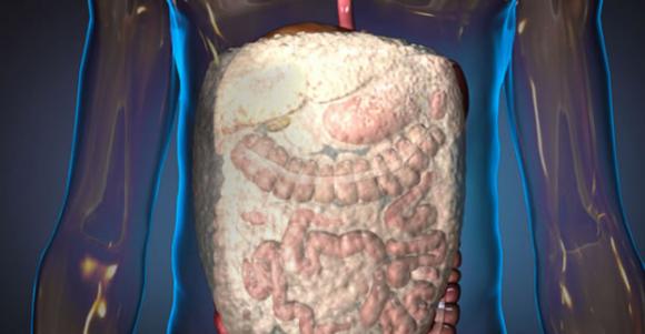 Video: EE.UU. elabora una espuma para ´curar´ heridas internas