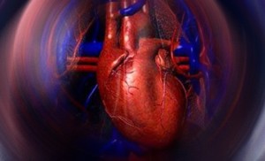 Diseñan en Argentina una válvula cardíaca, duradera y hemocompatible