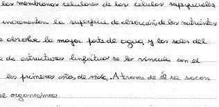 La grafologia:tu personalidad en la escritura