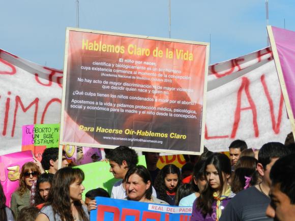 Mendoza: el Senado rechazó el Protocolo de Aborto No Punible