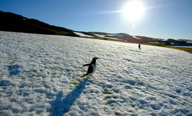 Estudio indica que la zona oeste de la Antártida se está calentando más rápido de lo esperado