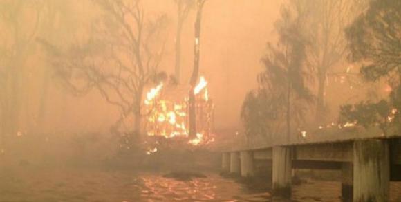 Abuelos héroes: rescataron a sus cinco nietos y a su perro de un incendio