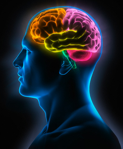 Investigadores Argentinos del CONICET logran revertir la degeneración neuronal en esclerosis múltiple