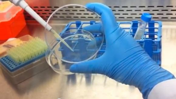 Nuevo hidrogel mata a bacterias resistentes a los antibióticos