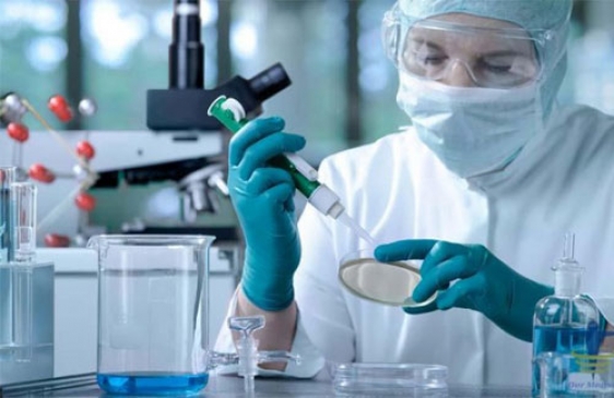 Investigadores Argentinos identifican blanco potencial para el desarrollo de nuevos antibióticos