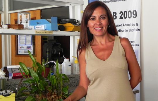 Investigadores Argentinos descubren mecanismos de neuroprotección frente al estrés