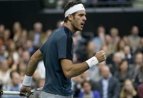 Del Potro llegó a la final en Rotterdam.