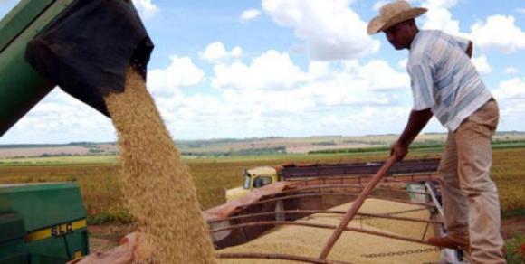 ¿Otoño sin soja? En abril, los productores dejarían de vender en forma de protesta