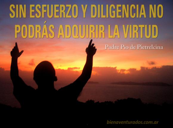 Sin esfuerzo y diligencia no podrás adquirir la virtud.