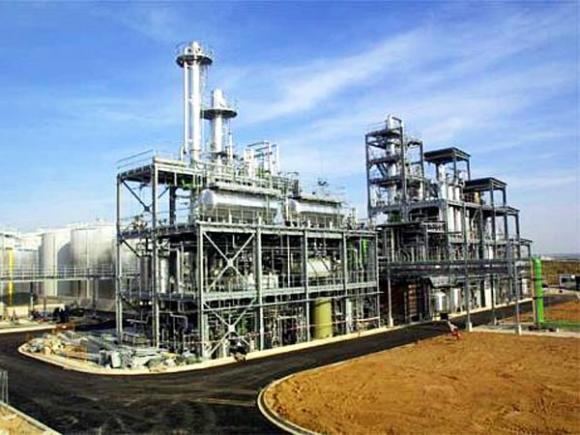 Investigadores Argentinos descubren plantas autóctonas aptas para producir biocombustibles