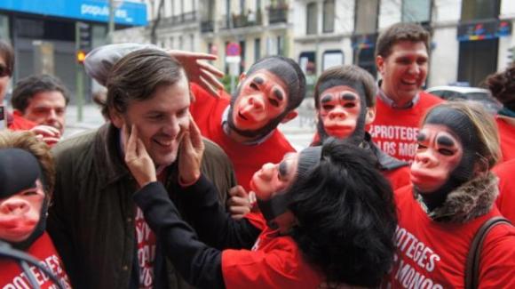 España, No al aborto: si se ignora a los hombres,  ¡que se escuche a los simios!