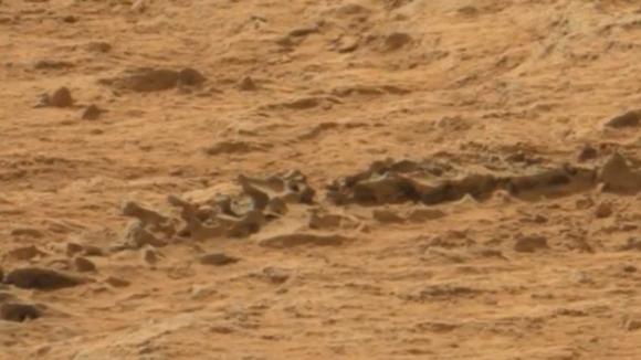 El Curiosity puede haber fotografiado un esqueleto animal en Marte