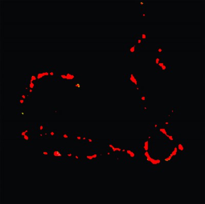 Científicos Argentinos desarrollan sensores fluorescentes para visualizar partículas nanométricas