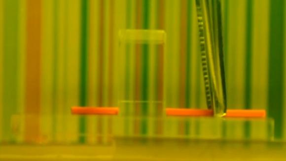 Video: Un científico de Singapur crea un ´manto´ de invisibilidad