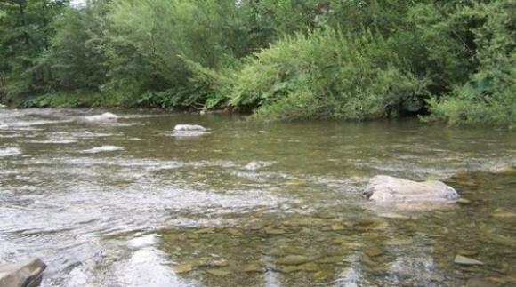 Científicos Argentinos desarrollan un software que mejora el manejo de los cursos de agua
