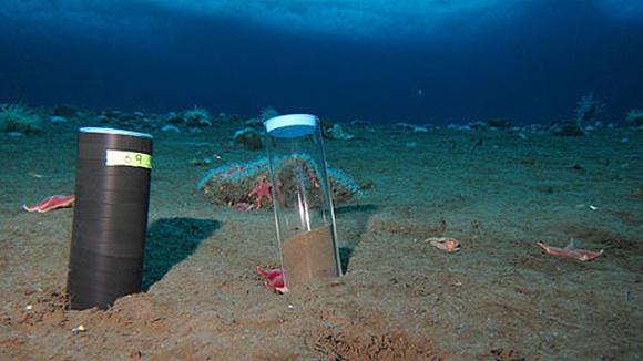 Hay vida en los sótanos de la Tierra: hallan bacterias en el fondo de la corteza oceánica